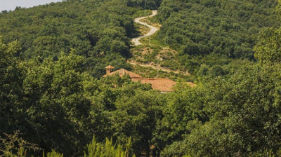 المهدية: العثور على جثـ.ـة آدمية بغابة الصبايا